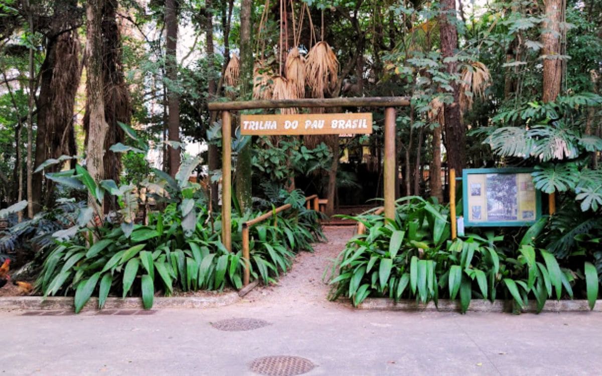 atrações do parque da água branca