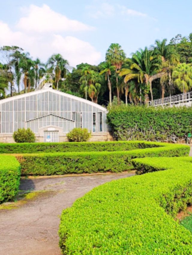 Jardim Botânico de São Paulo: Beleza no Coração da Cidade