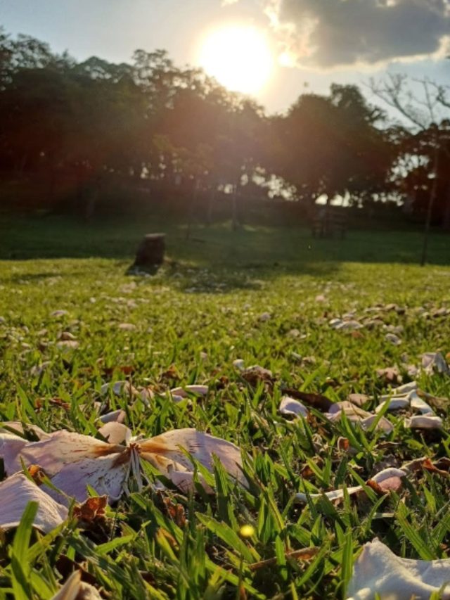 7 Motivos para visitar o Parque Cemucam