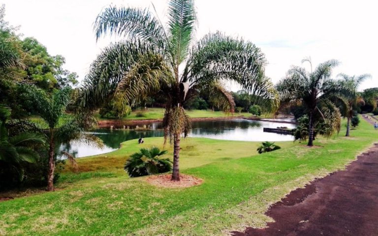 Jardim Botânico de Londrina: Localização, Avaliações e Muito Mais