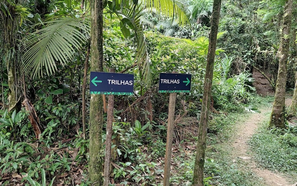 parque caminho das águas atrações