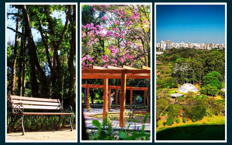 Parque Ibirapuera: Atividades, Acessos e Dicas Úteis