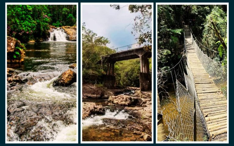 Parque de Aventuras Selva SP Atrai Turistas e Amantes da Natureza em São Paulo