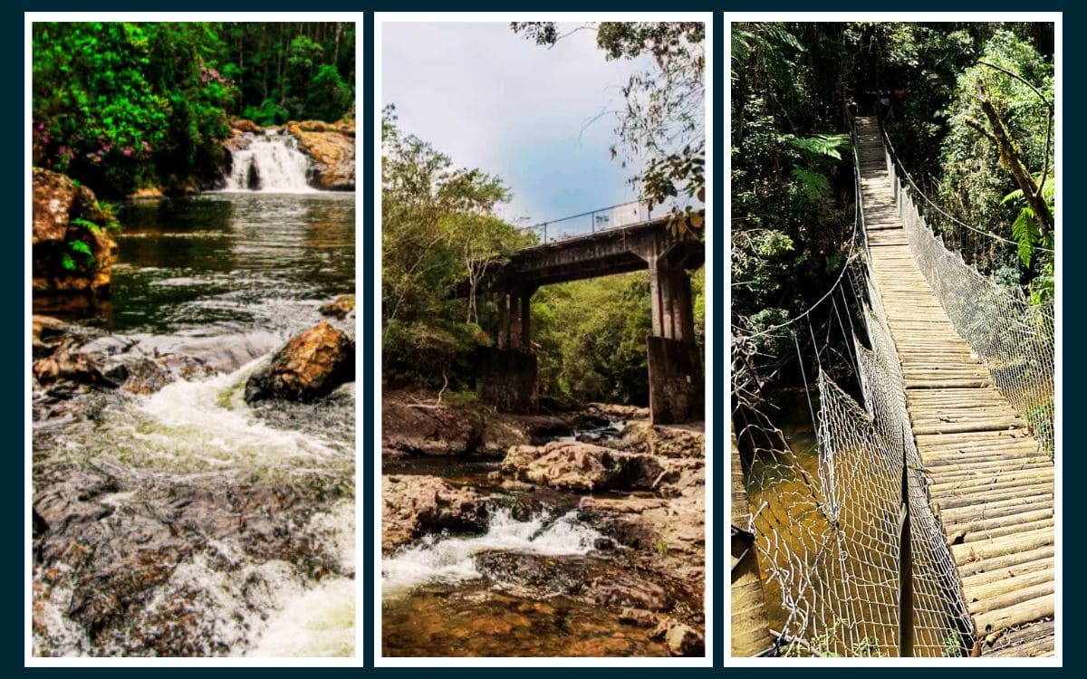 parque de aventuras selva sp