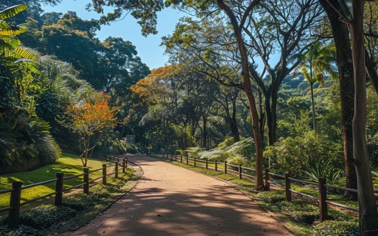 Férias em Julho: Descubra os Parques Naturais de São Paulo e Suas Atrações Imperdíveis