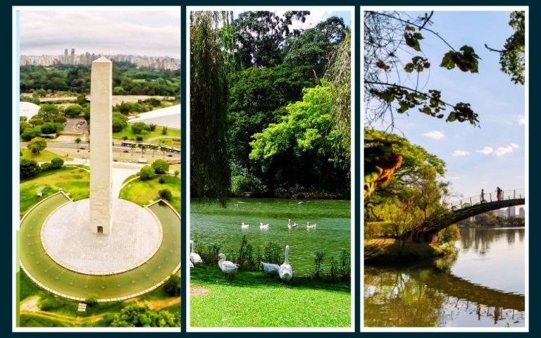 Parque Ibirapuera oferece Quintal de Férias com atividades ambientais educativas