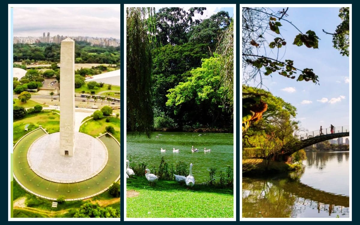 quintal de férias parque ibirapuera