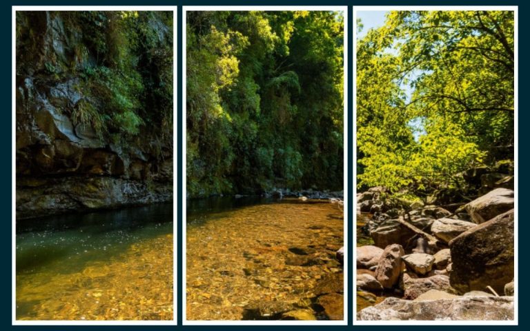 Trilha em Santa Catarina é Reconhecida como uma das Melhores Atrações da América do Sul