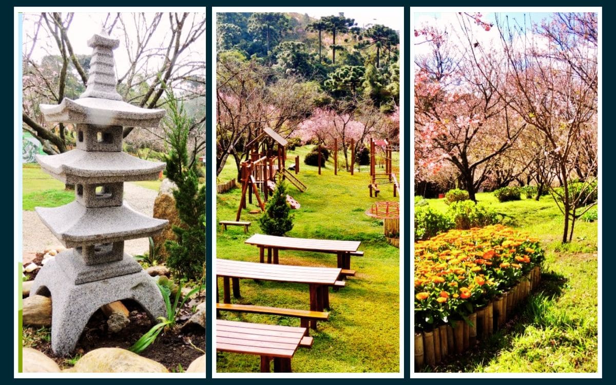 Descubra o Encanto do Parque da Cerejeira