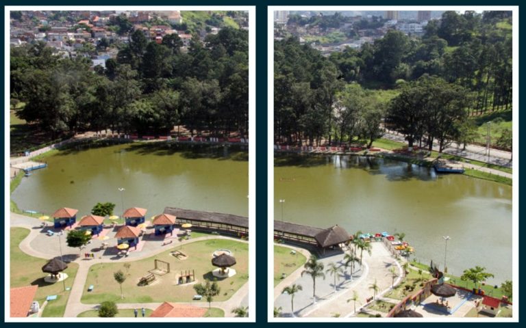 Parque Municipal Dom José: Natureza e Lazer em Barueri