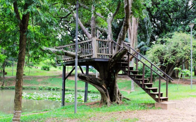 Parque Palhaço Estremilique: Diversão para Crianças em Santo André