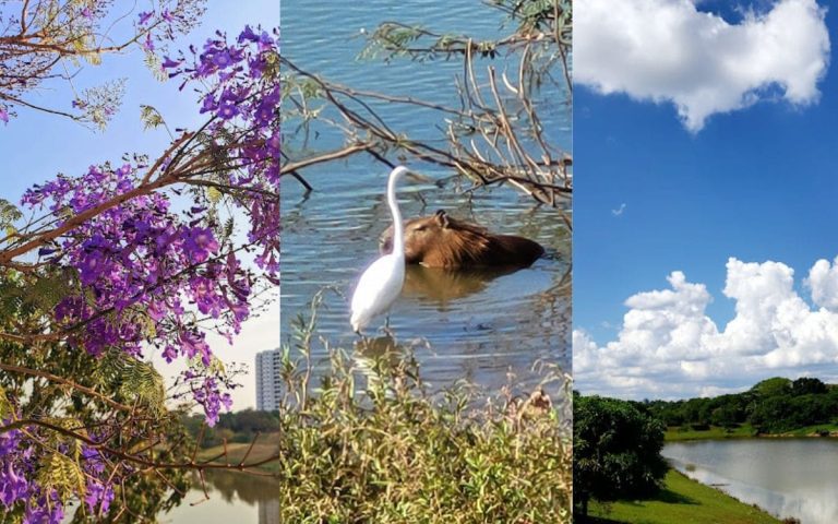 Guia Completo para Visitar o Parque das Acácias em Uberaba