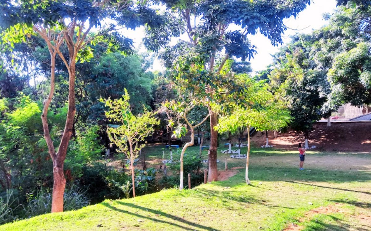 Parque das Amendoeiras